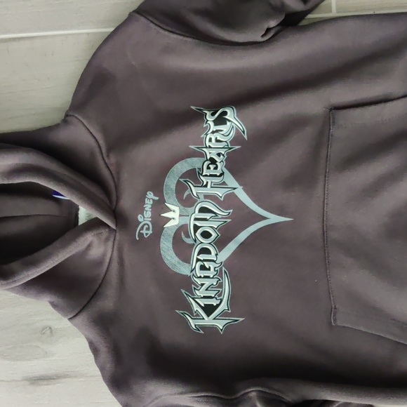 Zara is such a cute sweatshirt for little boys - Picture 3 of 4